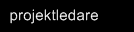 projektledare