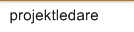 projektledare